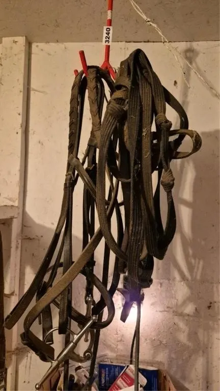 Bridle + Reins + Hook