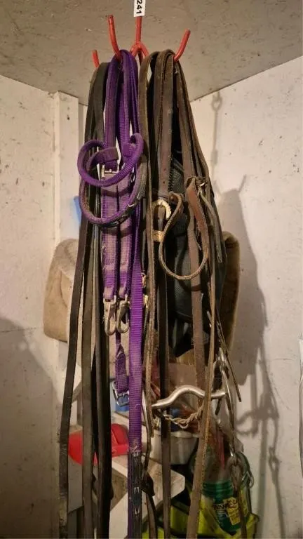 Bridle + Headstall + Flymask +Reins