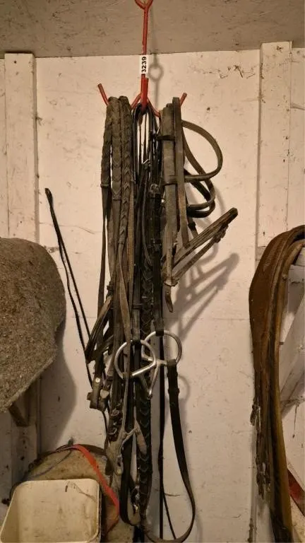 Bridle + Reins + Hook