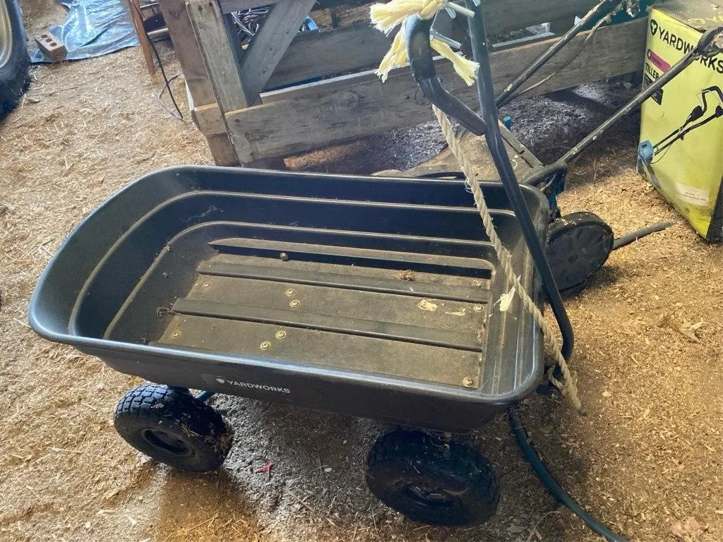Large plastic wagon with dump box