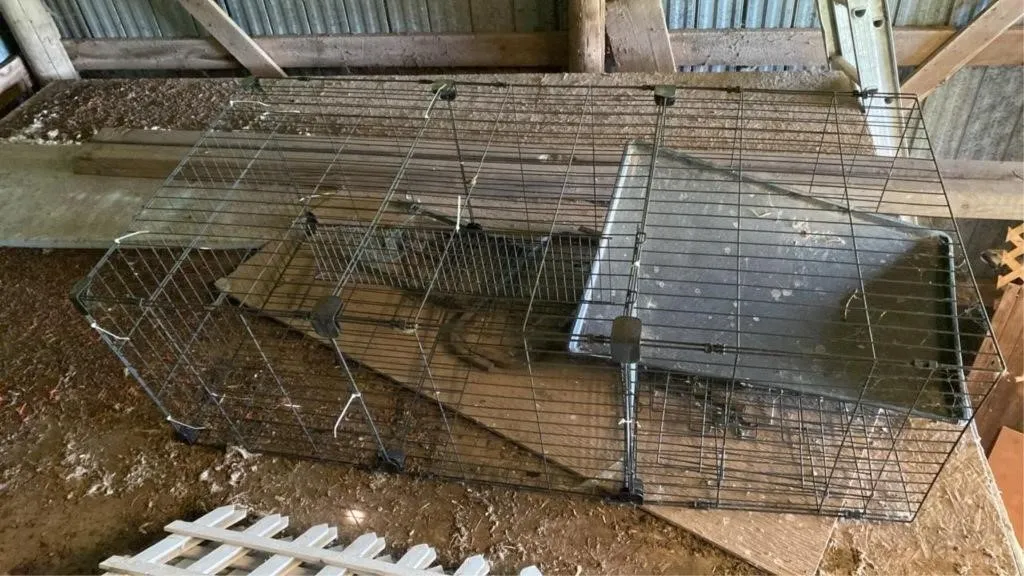 Metal kennel/cage - 6ftx3ftx2ft