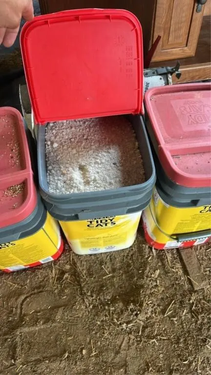 3 buckets of salt
