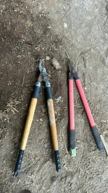Two long handied pruners