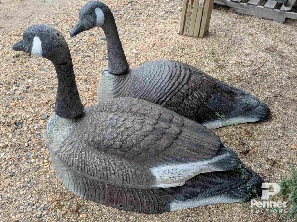 Large Goose / Geese Decoys