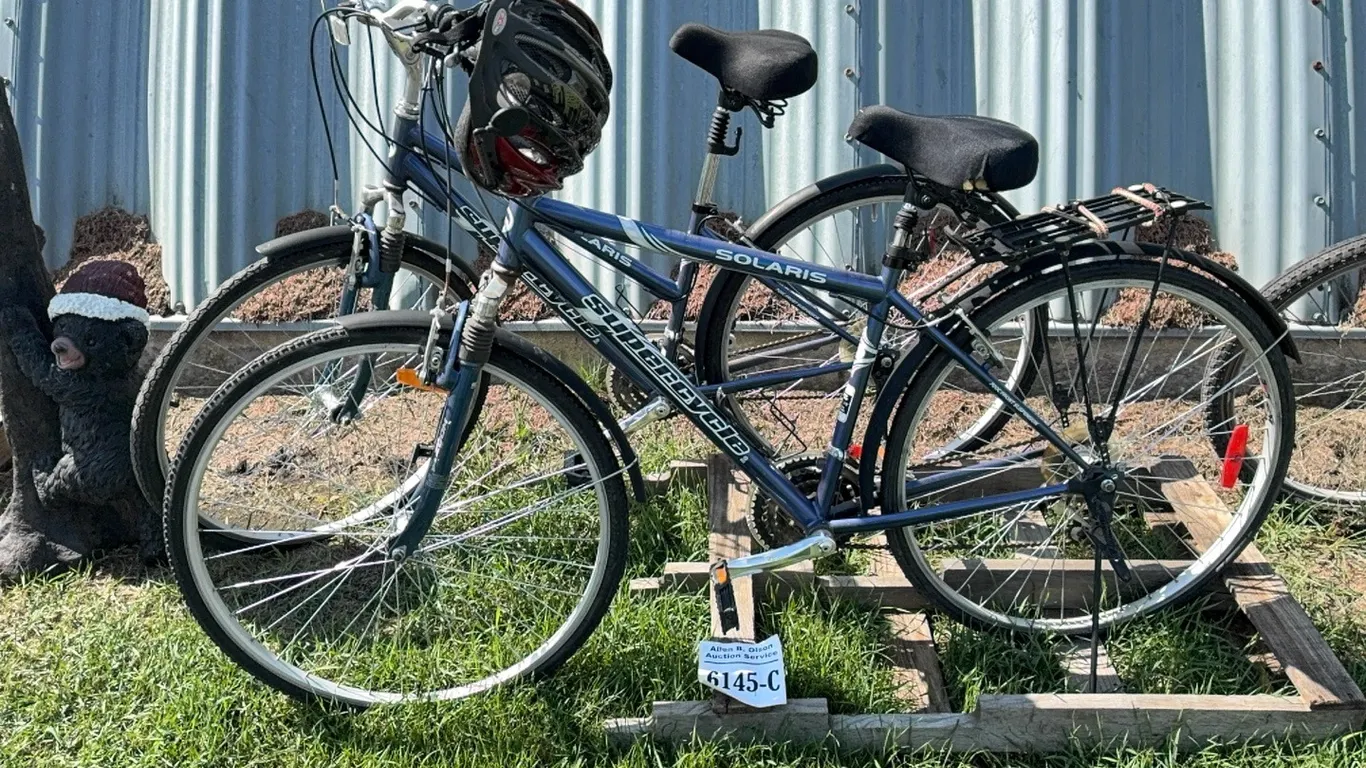 2 - ADULT SIZE BIKES - DISPERSAL FOR CLARENCE YOUNG - SOLD OFFSITE EDBERG, AB