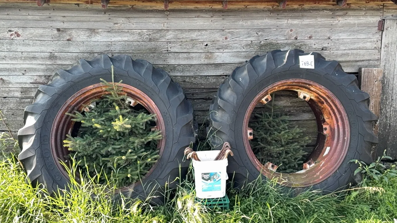 SET OF 18.4-38 TRACTOR DUALS - DISPERSAL FOR CLARENCE YOUNG - SOLD OFFSITE - EDBERG, AB