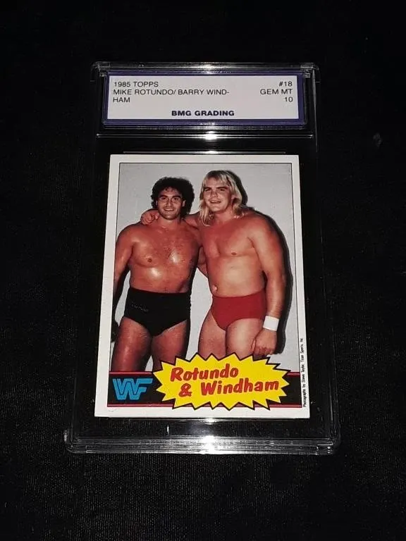 Mike Rotundo/Barry Windham 1985 T GEM MT 10