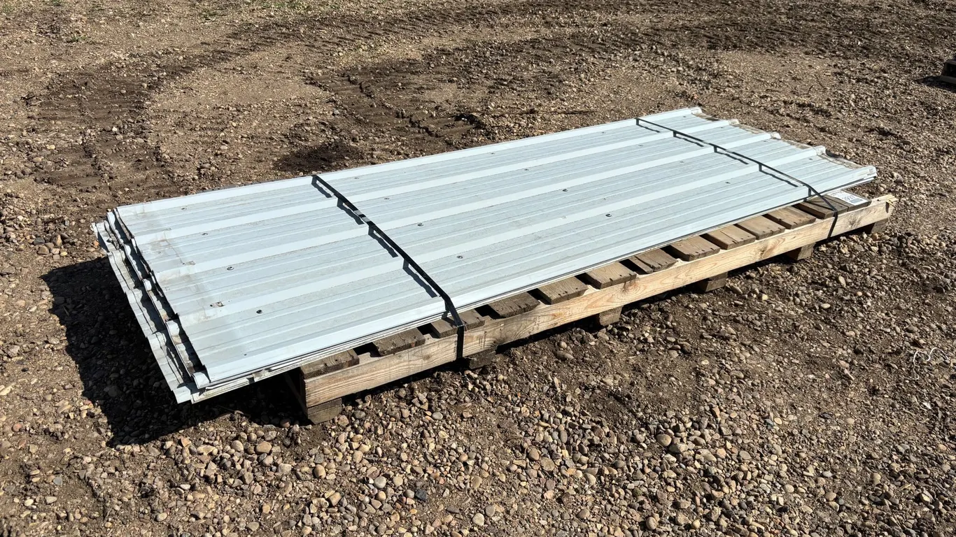 (11) Sheets of Siding