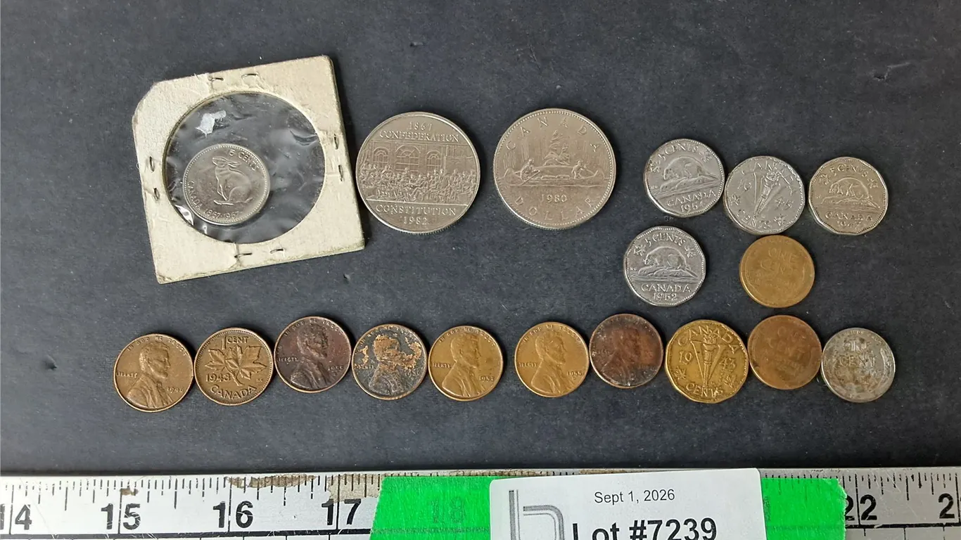 Mostly Vintage & Commemorative Canadian/American Coins