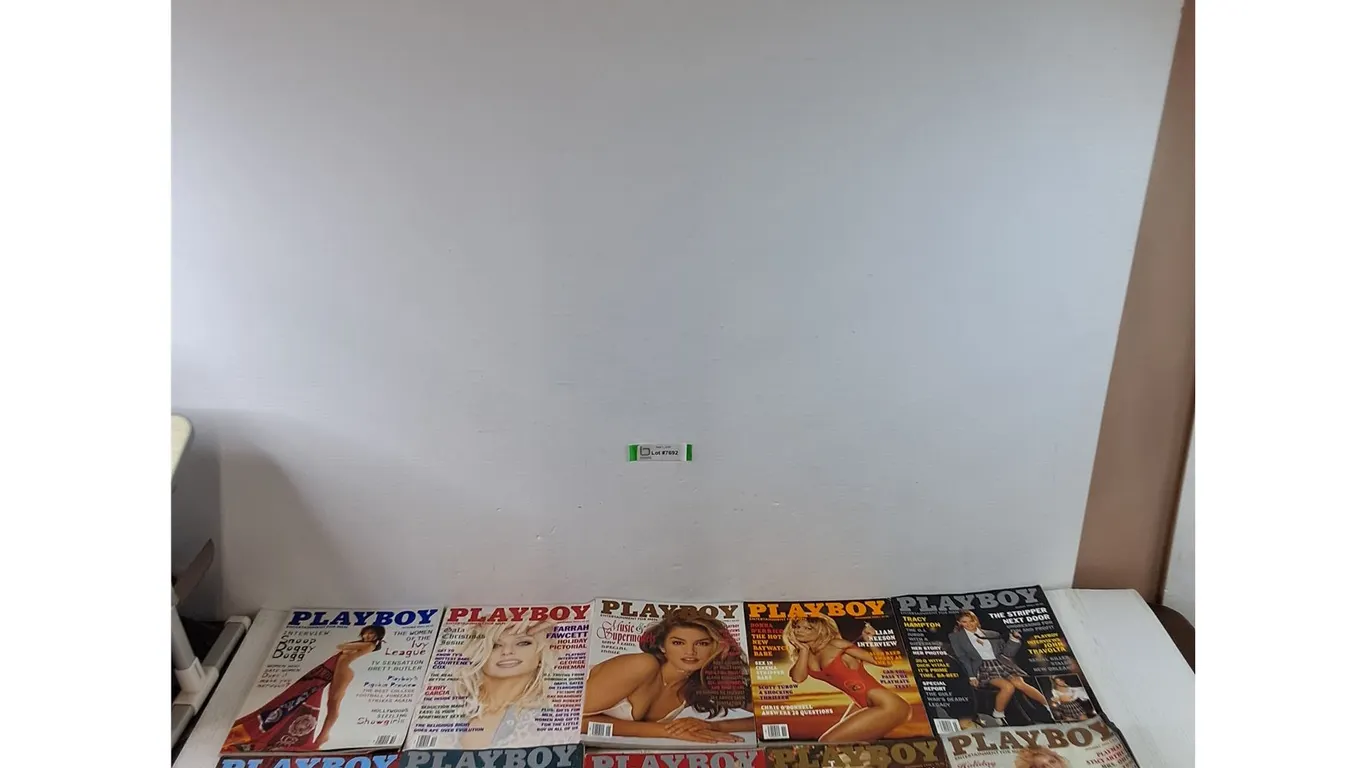 (10) Playboy Magazines in Various Condition, Assorted From 1991 - 1996