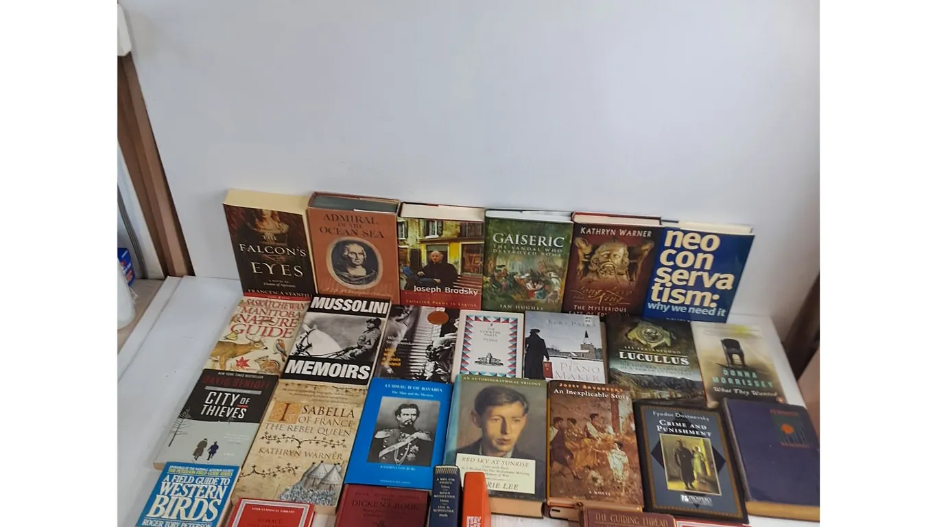 (28) Books - Novels, Biographies, Guides, Classics