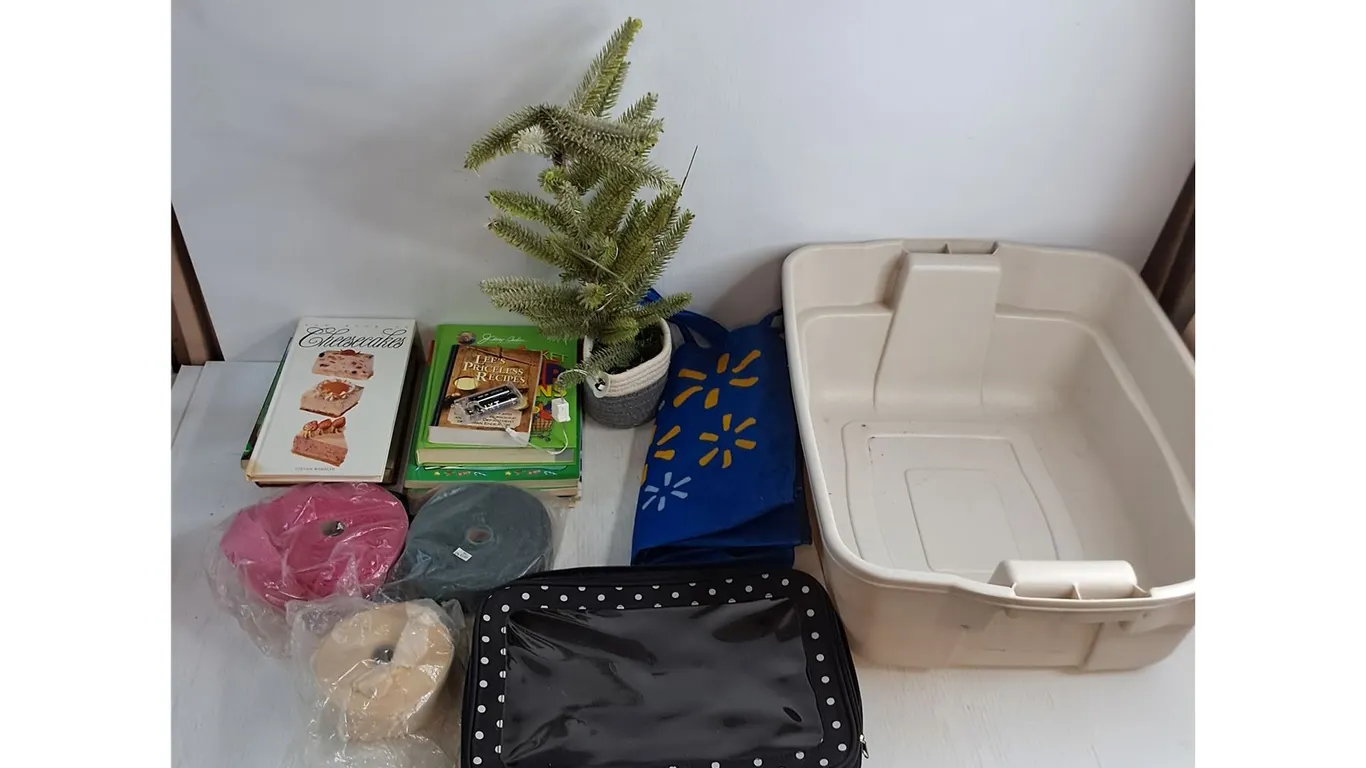 Tote, Party Streamers, Electrified Plant - Untested, Assorted Books, Laptop Case, Pickup Only