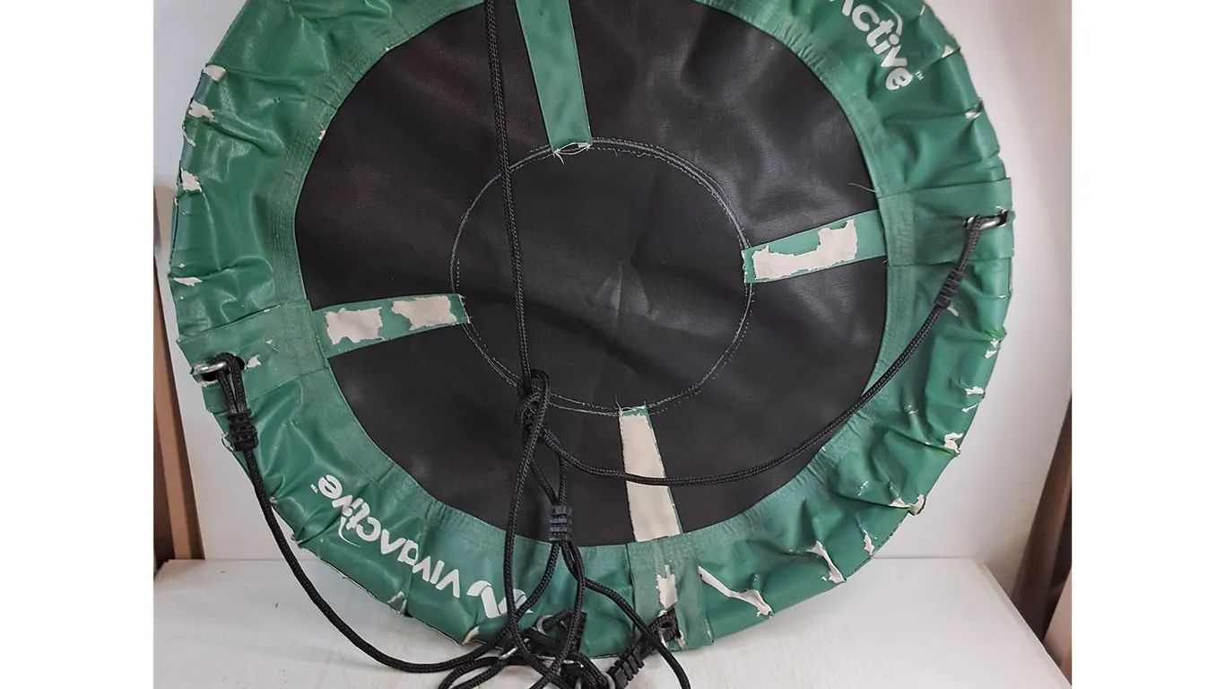 * VivaActive Tree Swing - 40" Diameter - Pickup Only