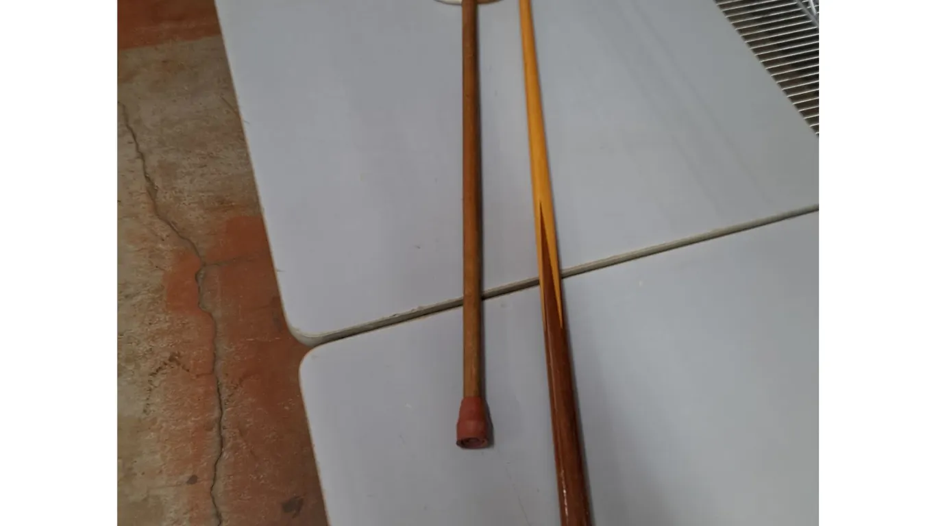 Pool Cue and Walking Stick, Pickup Only