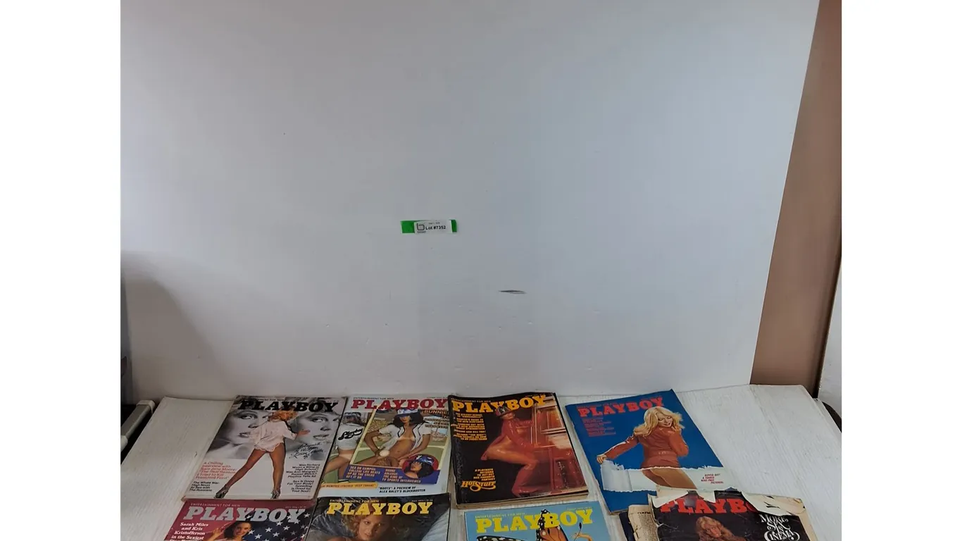(11) Playboy Magazines in Various Condition, Assorted Issues From 1973 - 1976