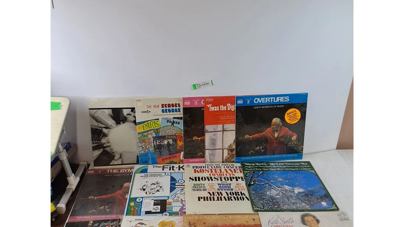 (13) Vinyl Records, Kate Smith, Wayne Newton, Arthur Fiedler, George Feyer