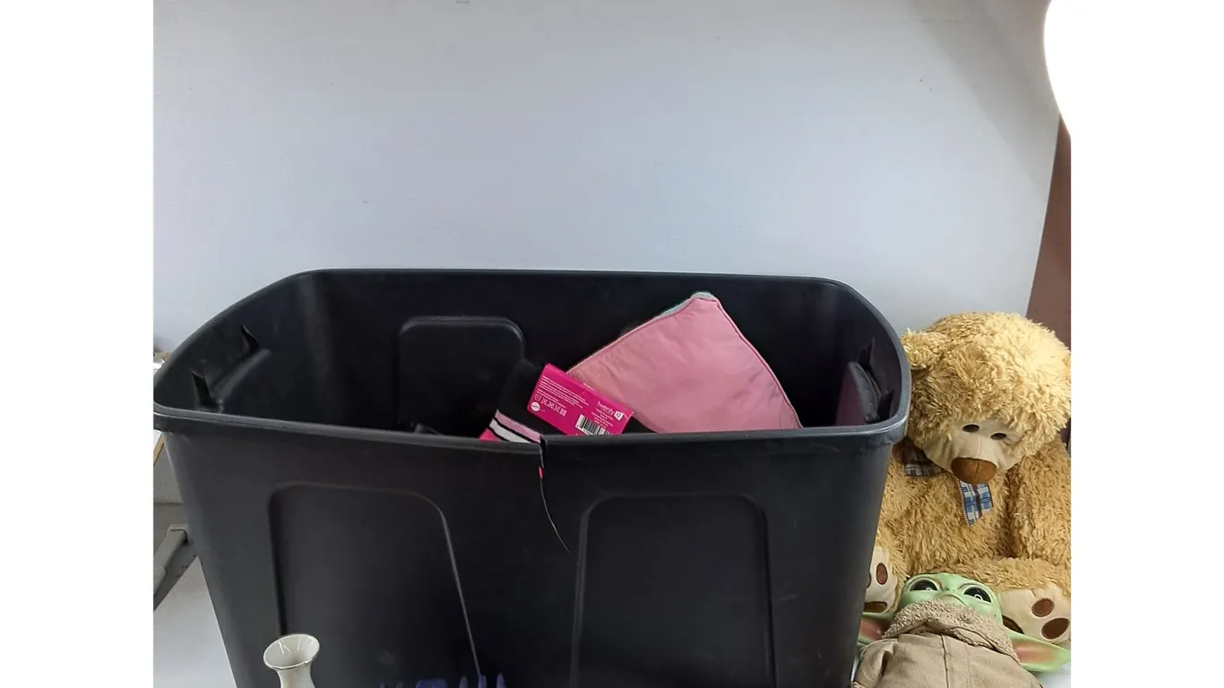 Storage Tote, Ceramic Vase, Toilet Plunger, Plush Toys, Bicycle Helmet, Misc, PICKUP ONLY