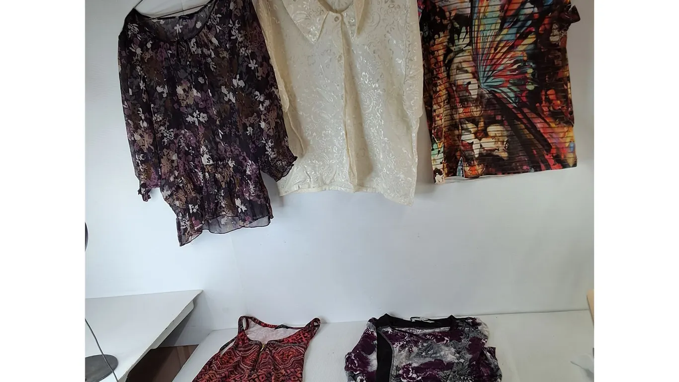 (5) Women's Dress Shirts- S to L