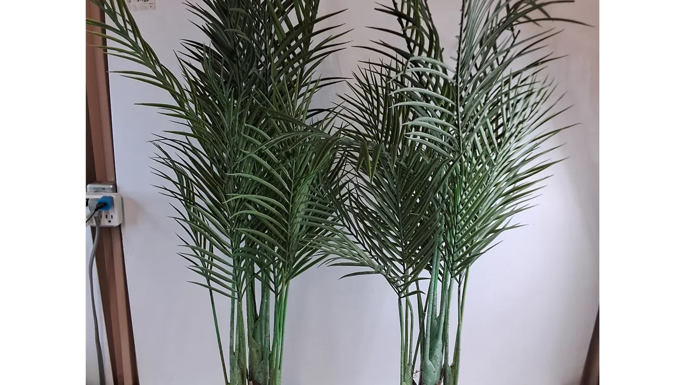 * (2) Faux Plants - 50" High - Cannot Ship
