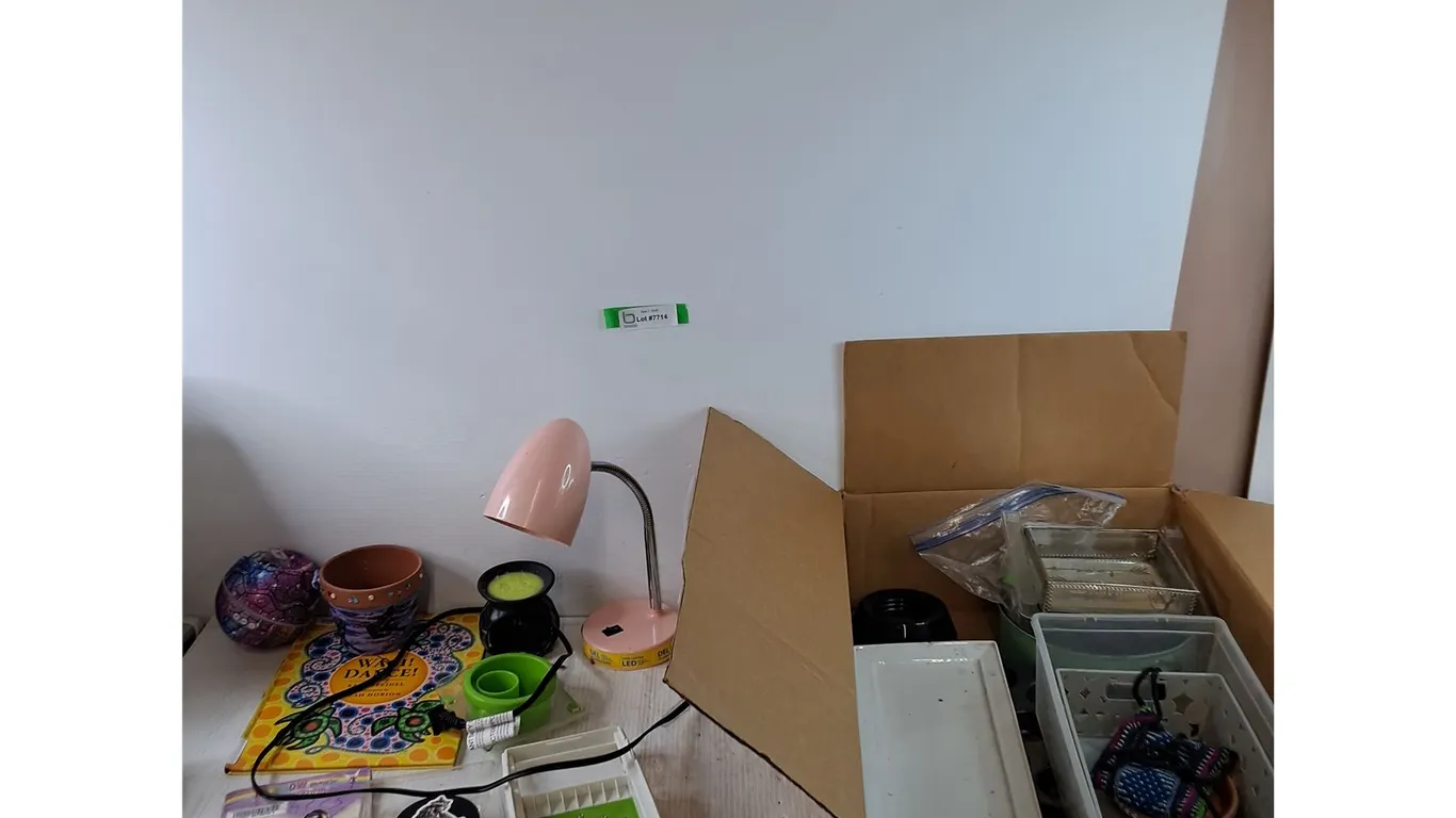 (2) Books, Hockey Puck, Working Lamp, Plant Pot, Various Storage Bins