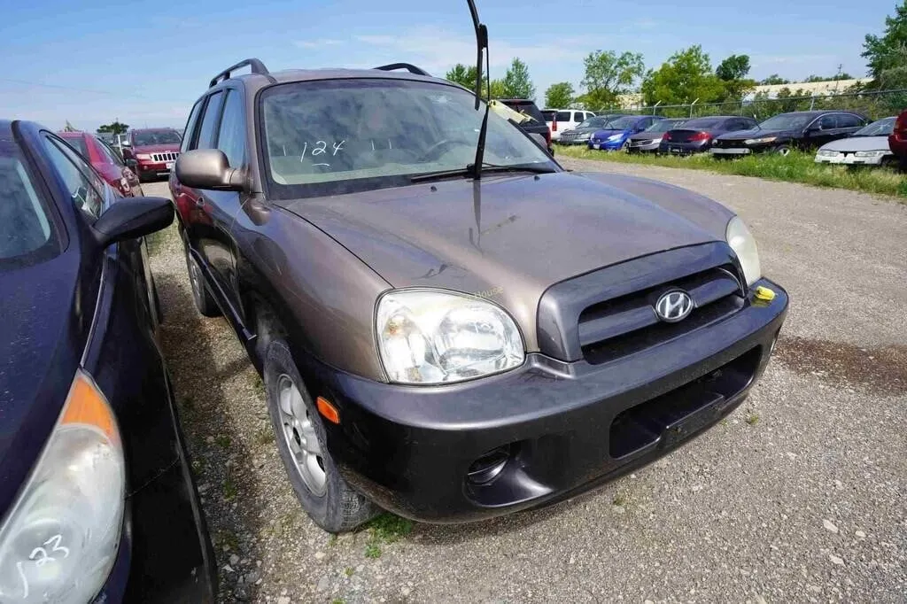 2006 Hyundai Santa Fe SN: KM8SB13DX6U034595