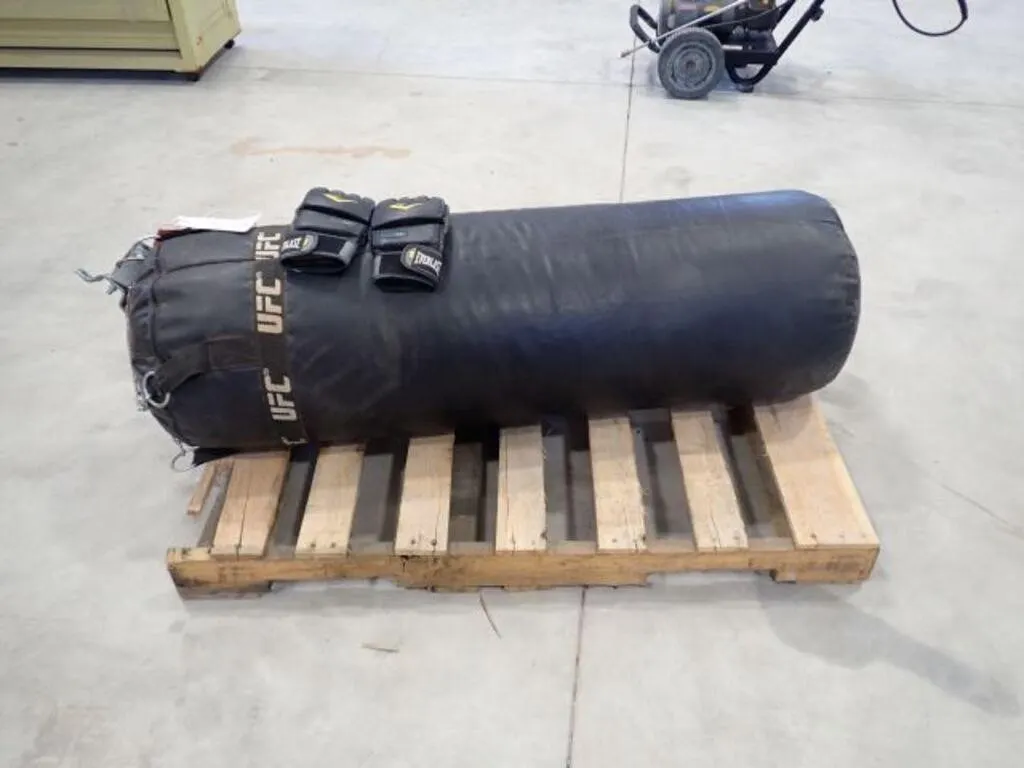 Punching Bag & Gloves