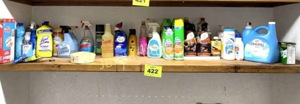 BOTTOM SHELF ASSORTED CLEANERS