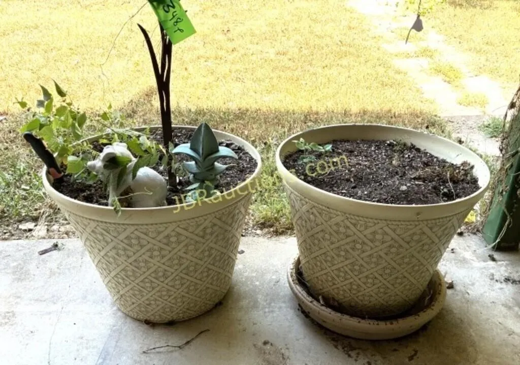 PLASTIC PLANTERS