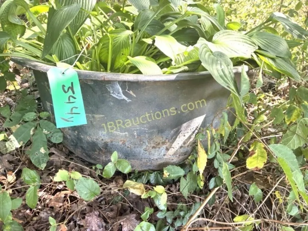 LG IRON KETTLE PLANTER