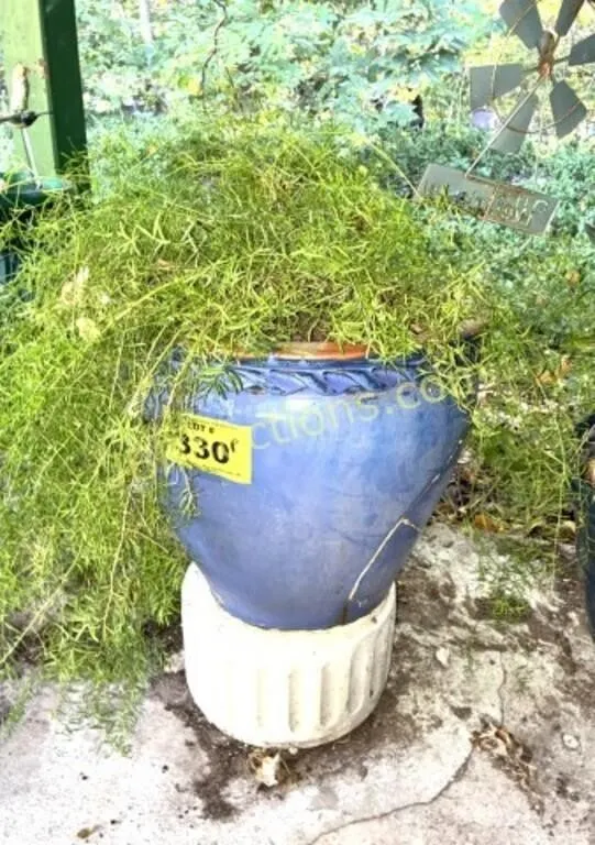 LG BLUE POTTERY PLANTER