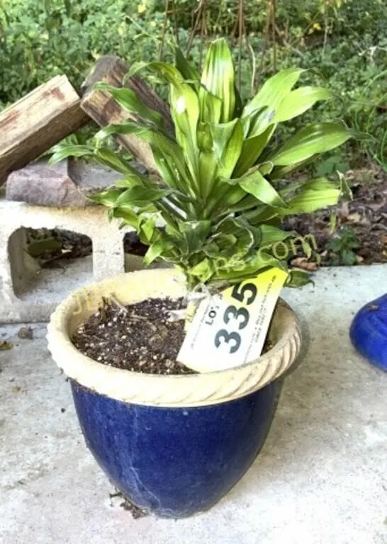 SM BLUE POTTERY PLANTER