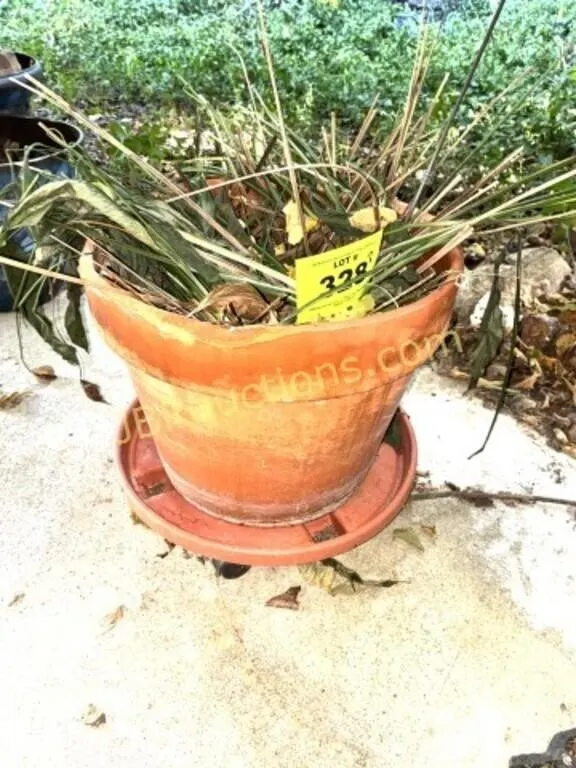 TERRA COTTA PLANTER ON ROLLER