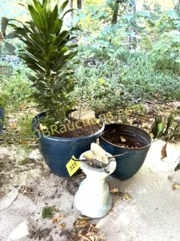PLASTIC PLANTERS