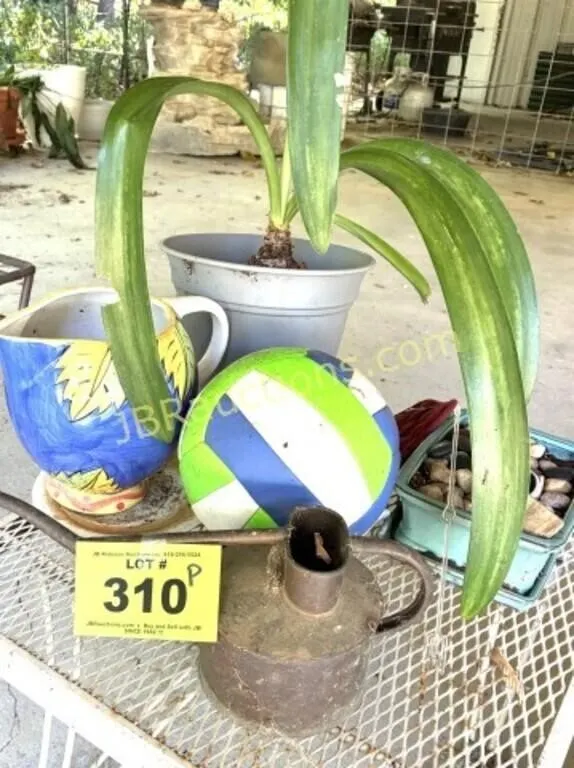 WATERCAN, PLANT, PITCHER, ETC