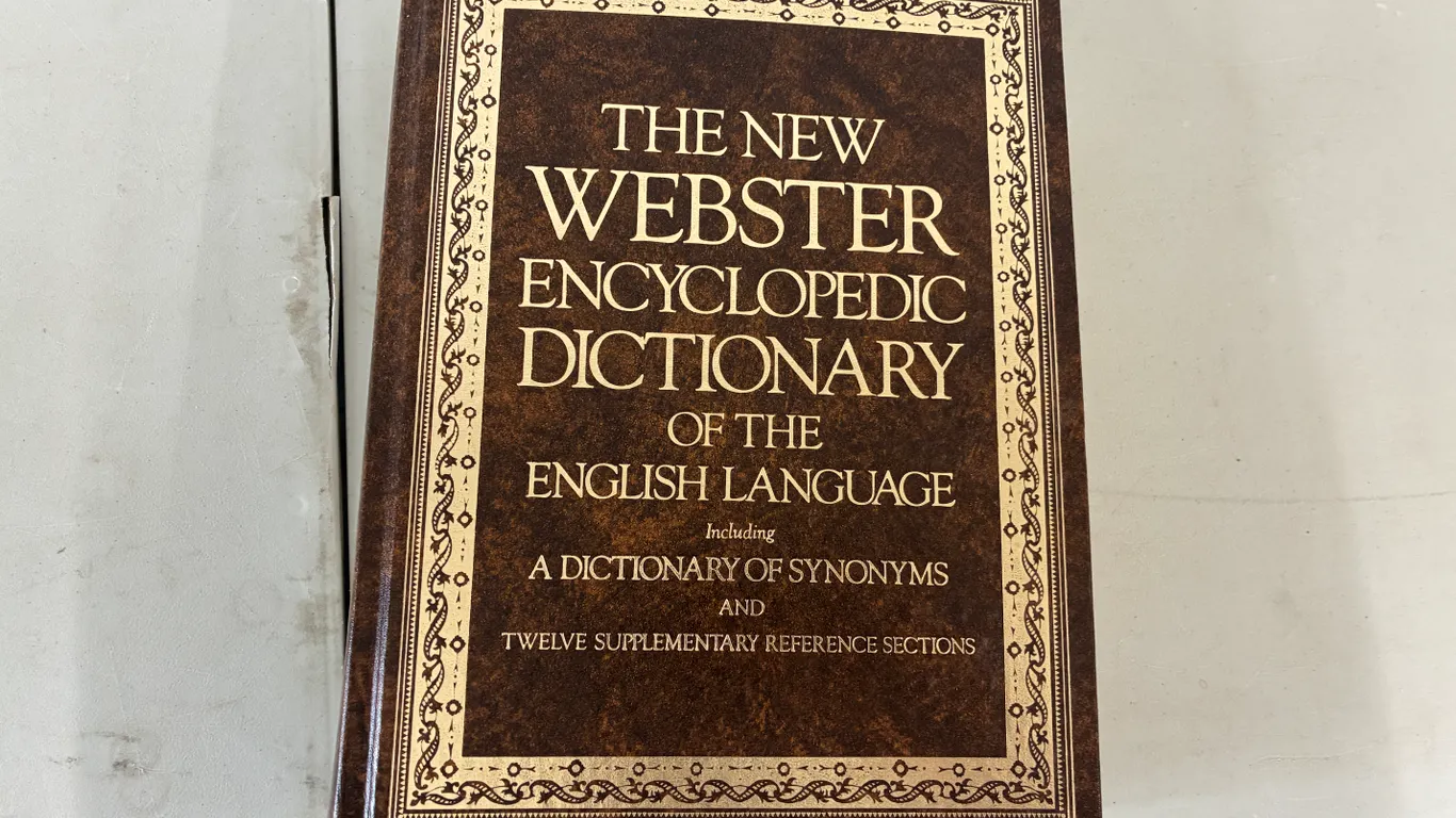 The New Webster's Dictionary