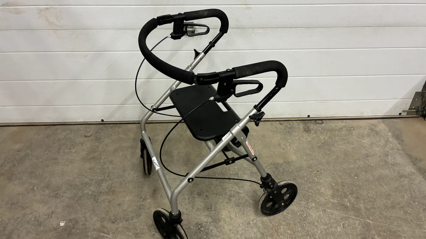 Evolution Walker