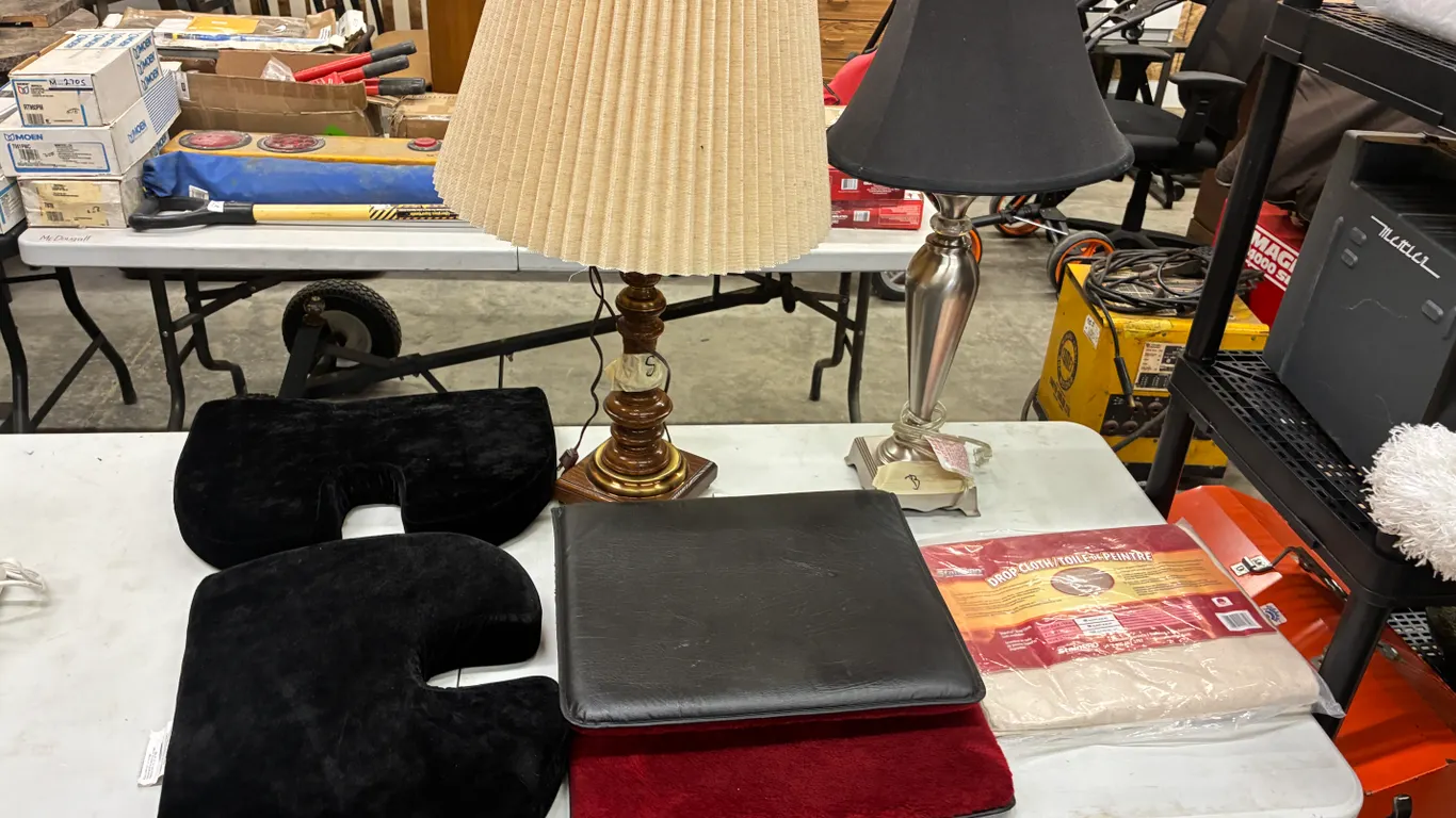 Assorted Lamps, Pillows & Drop Mat