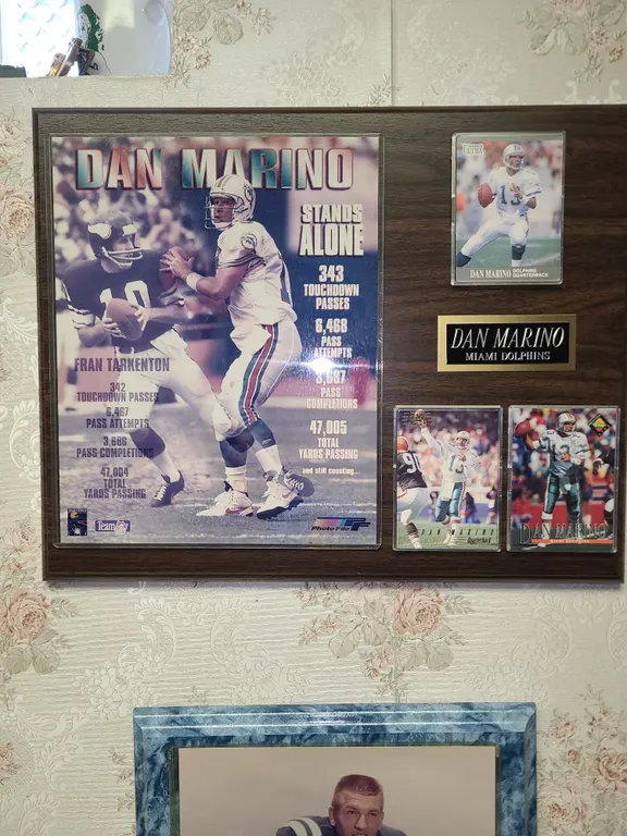 Dan Marino Miami dolphins plaque
