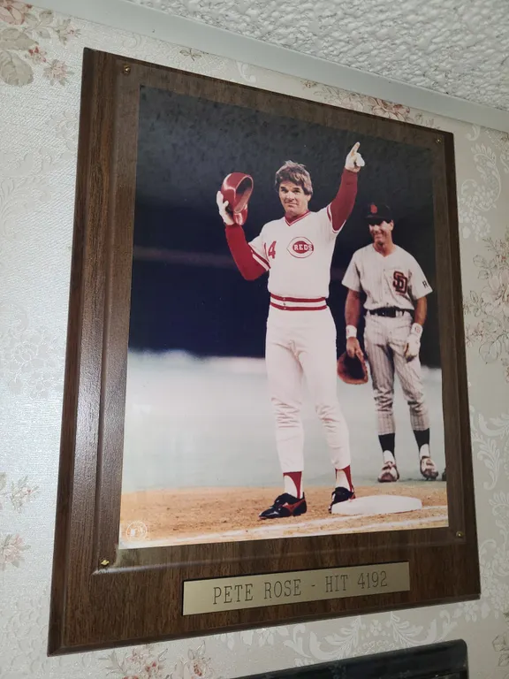 Pete rose Cincinnati reds Hit 4192