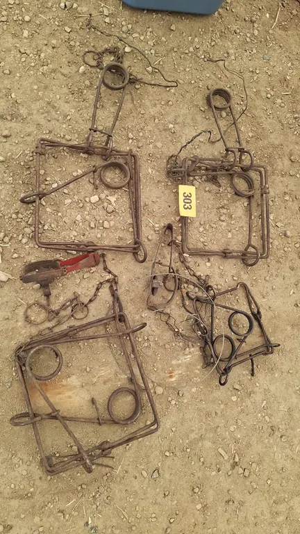 6 Traps