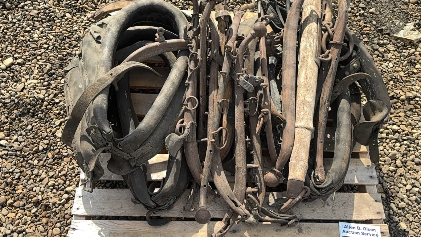 HORSE HARNESS, HAMES, BRIDLES, BITS, HEAD ROPES & BELLS