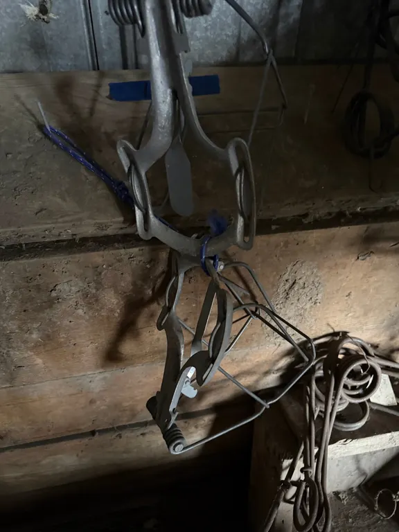 2 specialty traps, not common