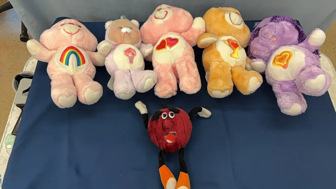 Care Bear stuffed animals and other stuffy