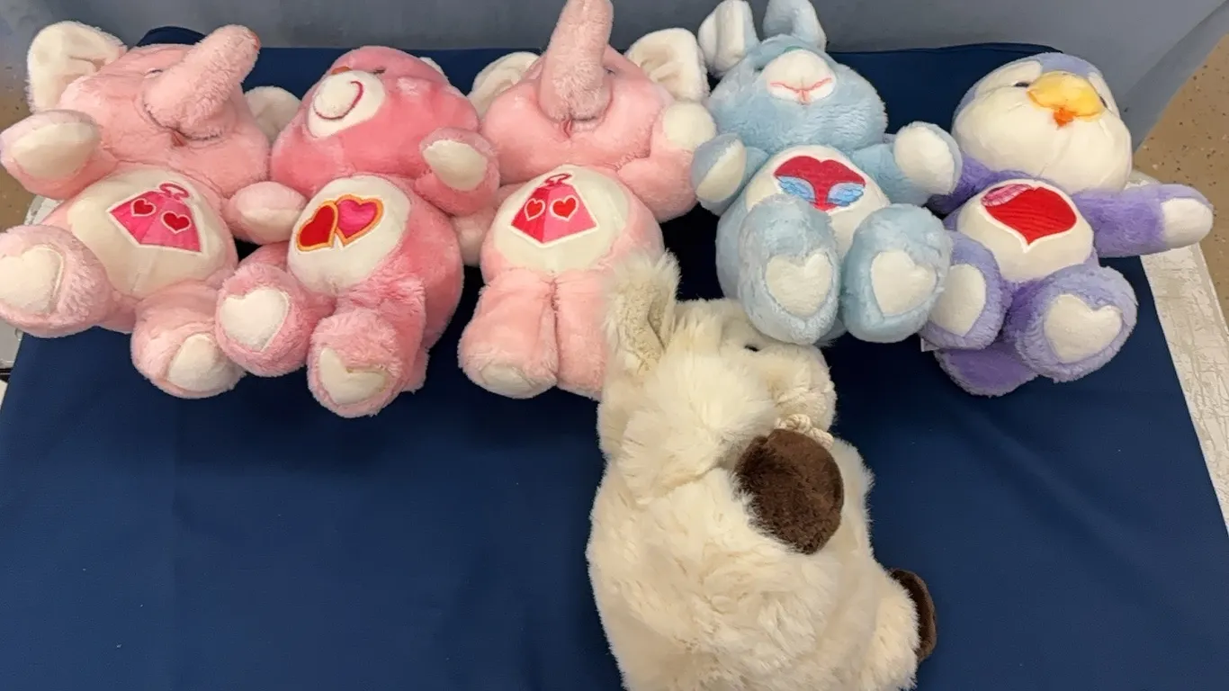 Care Bear stuffed animals and other stuffie