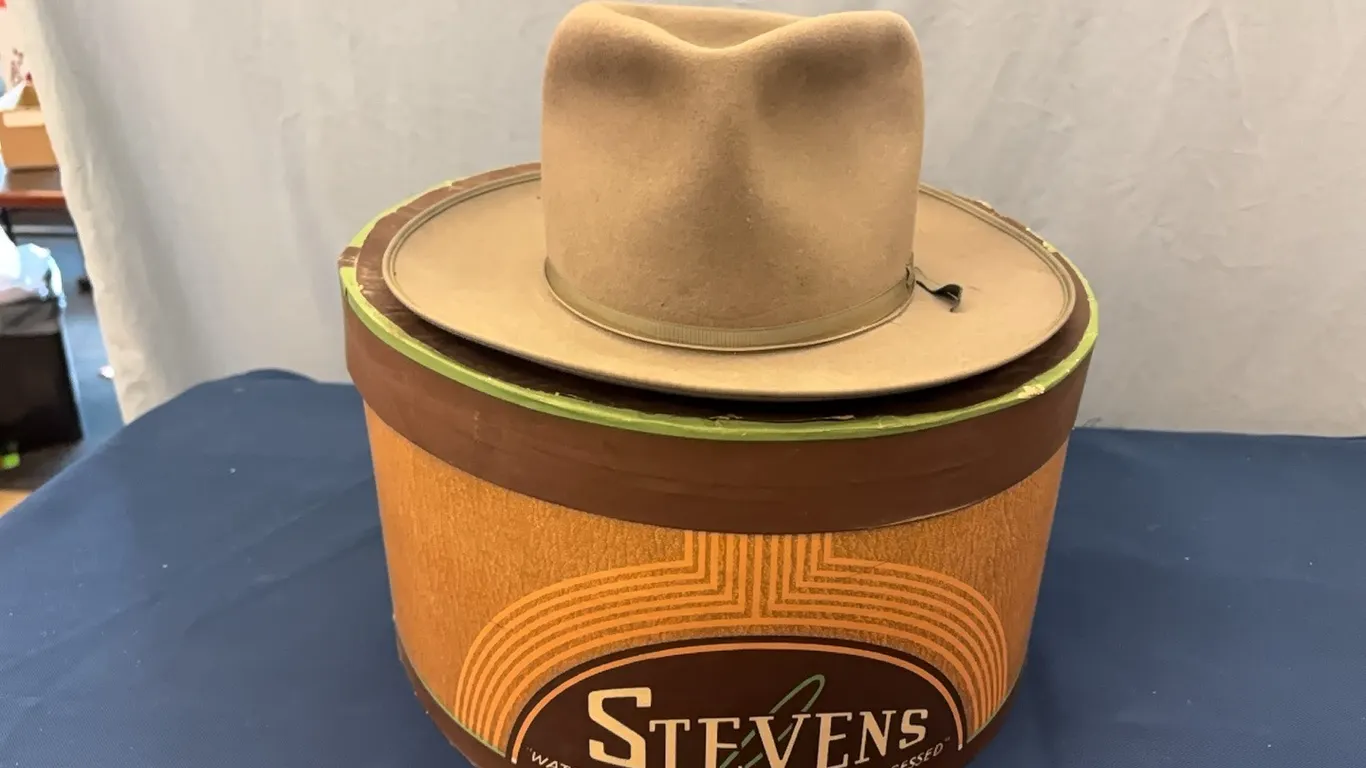 Brimmed hat