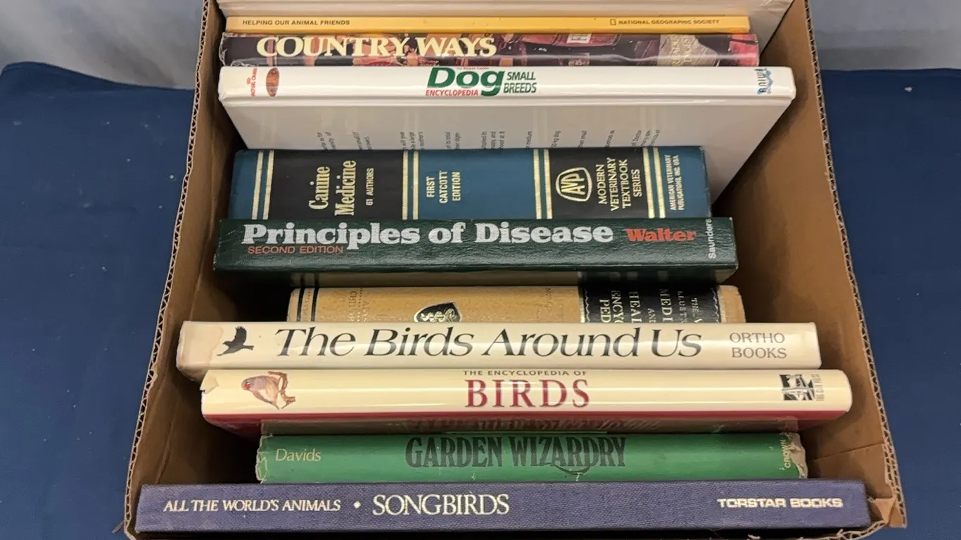 Books