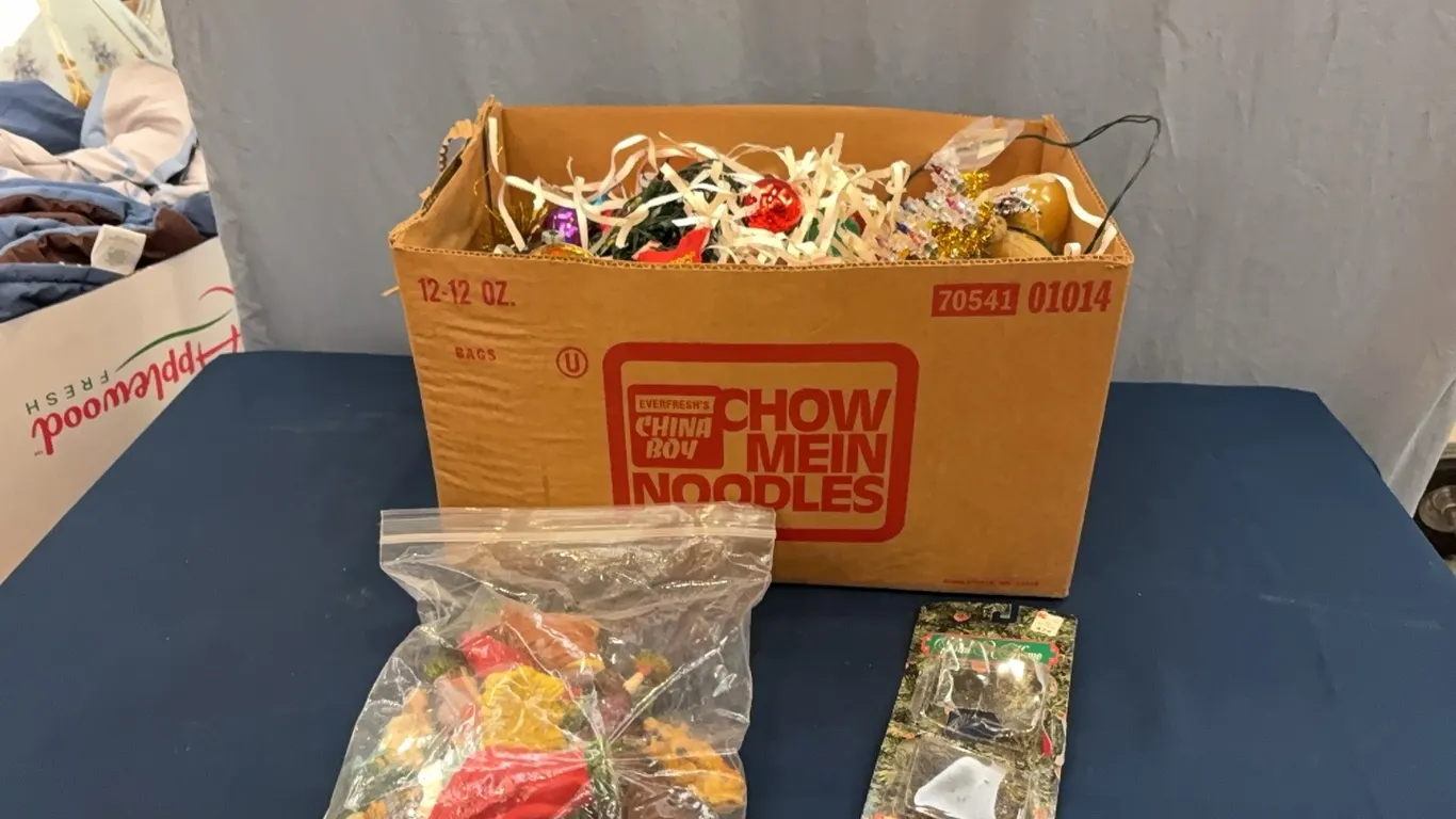 Box of Christmas Decor