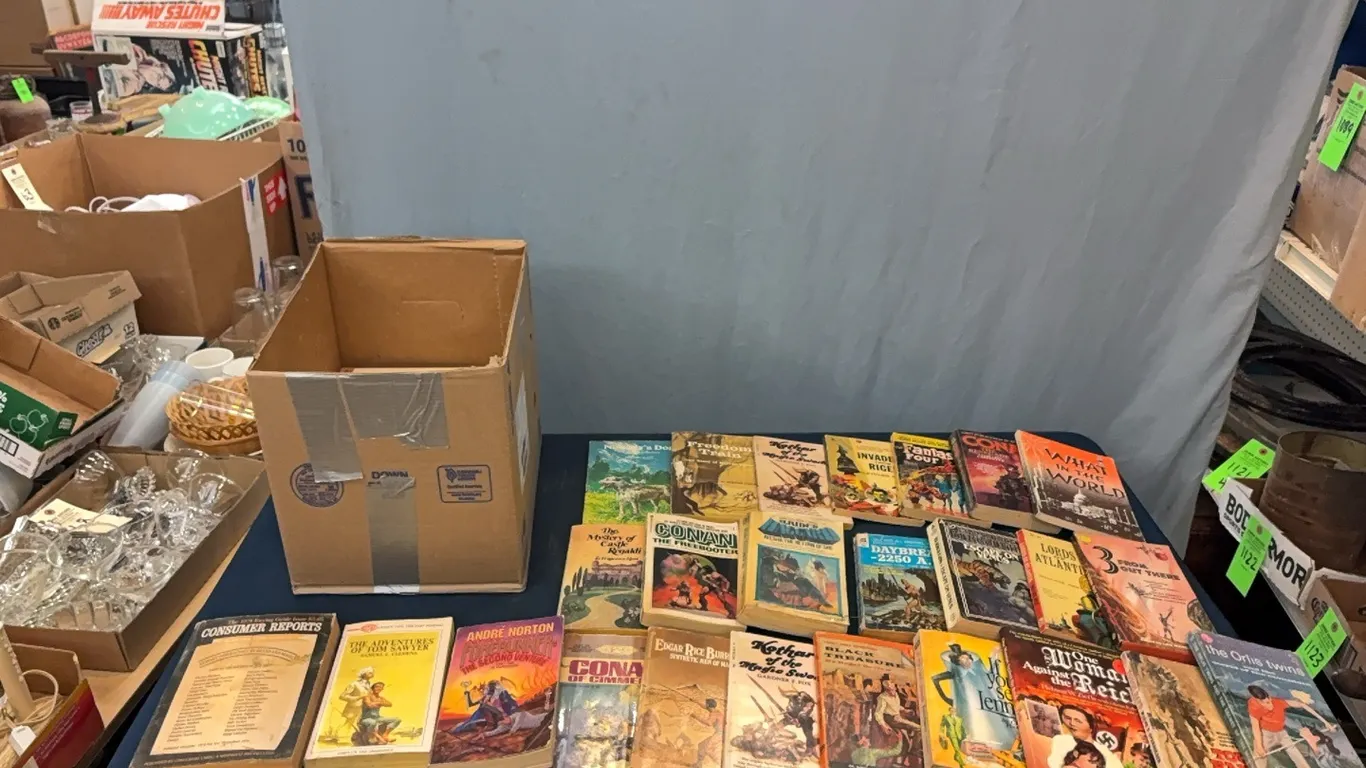 Box of Paperback Books