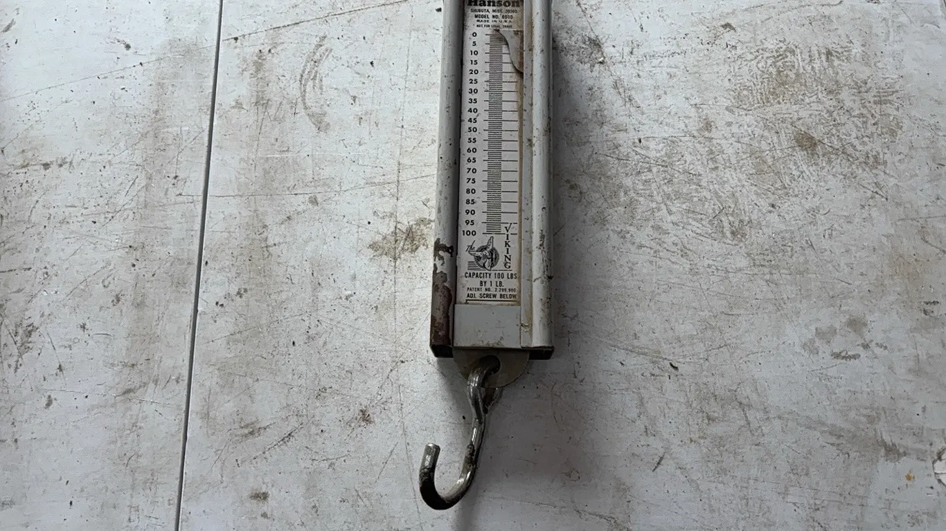 Hanson scale