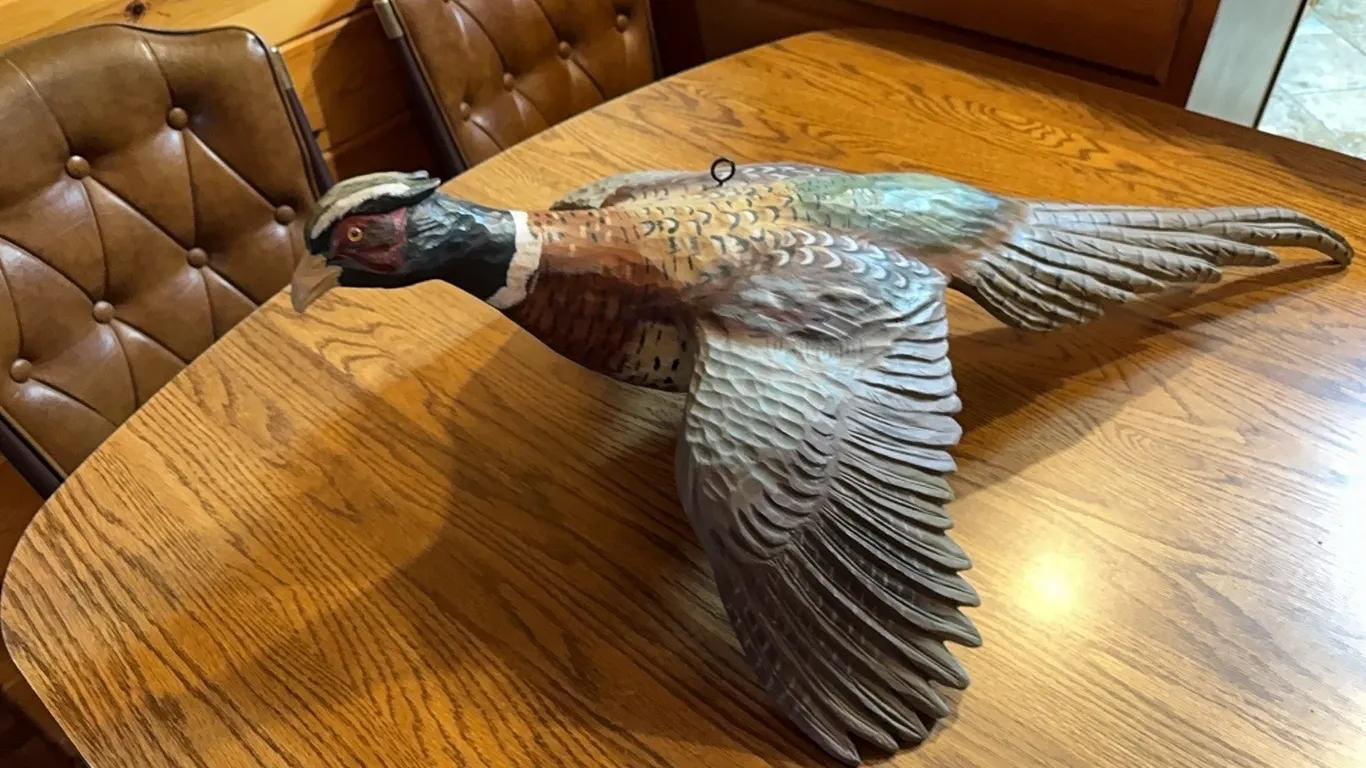 Hanging pheasant